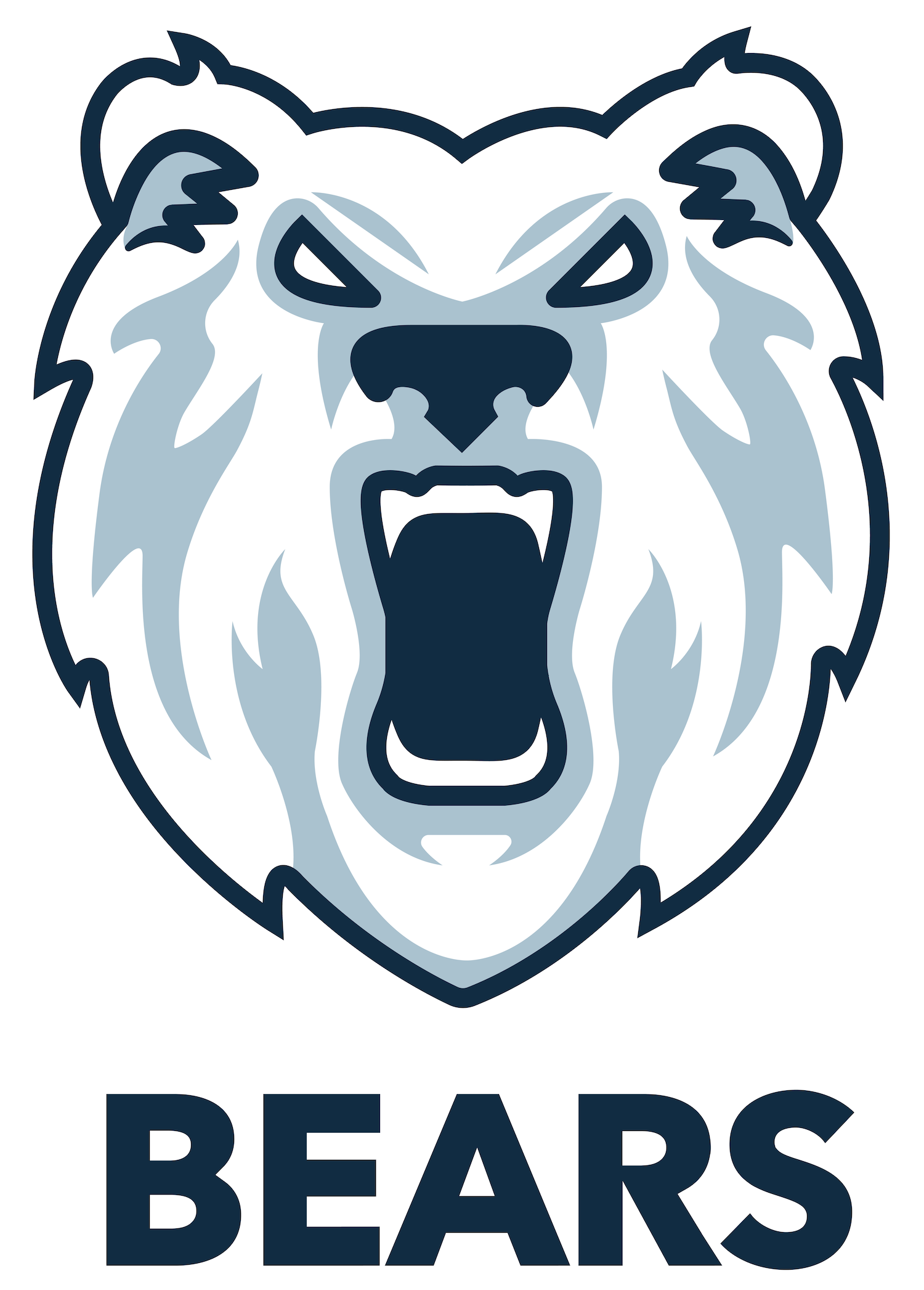 Bears logo